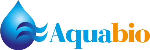 Nous Logo